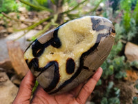 Polished Septerye Standing Free Forms x 2 From Mahajanga, Madagascar