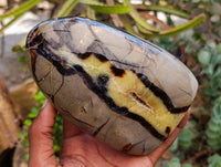 Polished Septerye Standing Free Forms x 2 From Mahajanga, Madagascar