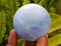 Polished Blue Calcite Spheres x 6 From Madagascar