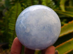 Polished Blue Calcite Spheres x 6 From Madagascar