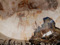 Polished Red Podocarpus Petrified Wood Bowl x 1 From Mahajanga, Madagascar