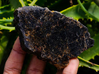 Polished Black Schorl Tourmaline Slices x 24 From Ambatondrazaka, Madagascar