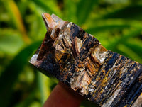 Polished Black Schorl Tourmaline Slices x 24 From Ambatondrazaka, Madagascar