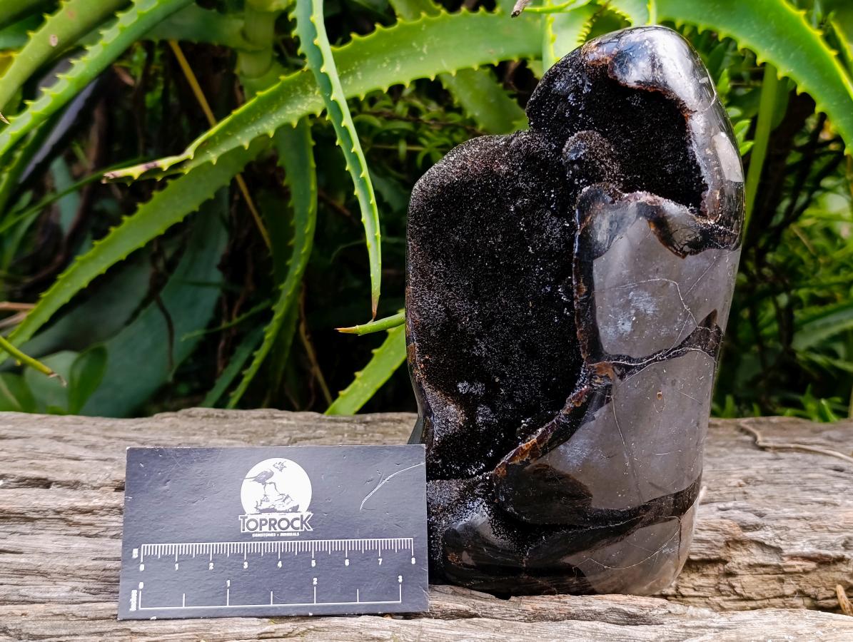 Polished Septerye Sauvage "Dragons Egg" Geode Standing Free Form x 1 From Mahajanga, Madagascar