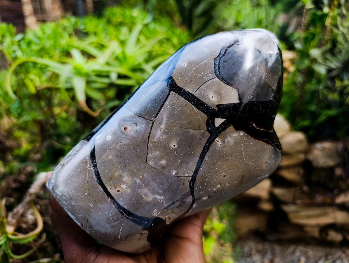 Polished Septerye Sauvage "Dragons Egg" Geode Standing Free Form x 1 From Mahajanga, Madagascar