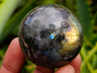 Polished Small Labradorite Spheres x 12 From Tulear, Madagascar