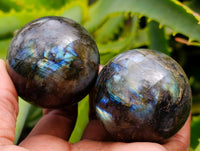 Polished Small Labradorite Spheres x 12 From Tulear, Madagascar