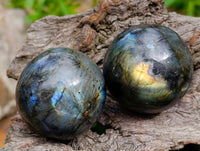 Polished Small Labradorite Spheres x 12 From Tulear, Madagascar