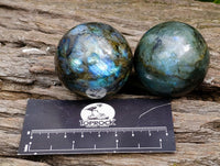 Polished Small Labradorite Spheres x 12 From Tulear, Madagascar