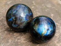 Polished Small Labradorite Spheres x 12 From Tulear, Madagascar