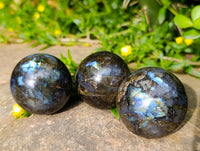 Polished Small Labradorite Spheres x 12 From Tulear, Madagascar