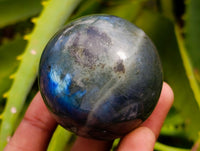 Polished Small Labradorite Spheres x 12 From Tulear, Madagascar