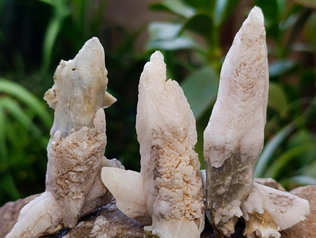 Natural Drusy Quartz Coated Spearhead Calcite Specimens x 20 From Albert's Mountain, Lesotho