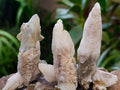 Natural Drusy Quartz Coated Spearhead Calcite Specimens x 20 From Albert's Mountain, Lesotho
