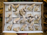 Natural Drusy Quartz Coated Spearhead Calcite Specimens x 20 From Albert's Mountain, Lesotho