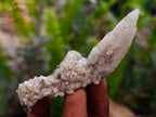 Natural Drusy Quartz Coated Spearhead Calcite Specimens x 20 From Albert's Mountain, Lesotho