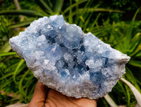 Natural Blue Celestite Geode Specimens x 2 From Sakoany, Madagascar