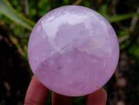 Polished Star Rose Quartz Spheres x 6 From Madagascar
