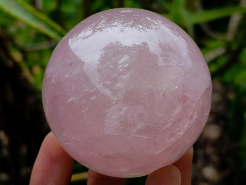 Polished Star Rose Quartz Spheres x 6 From Madagascar