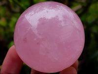 Polished Star Rose Quartz Spheres x 6 From Madagascar