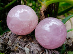 Polished Star Rose Quartz Spheres x 6 From Madagascar