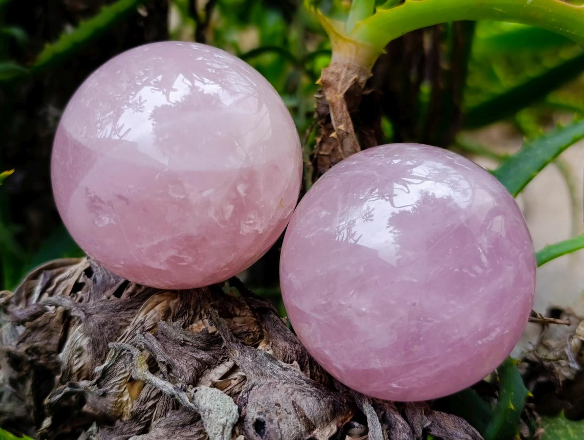 Polished Star Rose Quartz Spheres x 6 From Madagascar