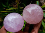 Polished Star Rose Quartz Spheres x 6 From Madagascar
