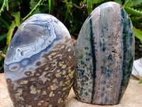 Polished Ocean Jasper Standing Free Forms x 2 From Northwest Coast, Madagascar