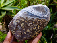 Polished Ocean Jasper Standing Free Forms x 2 From Northwest Coast, Madagascar