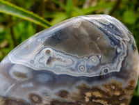 Polished Ocean Jasper Standing Free Forms x 2 From Northwest Coast, Madagascar