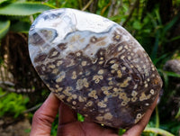 Polished Ocean Jasper Standing Free Forms x 2 From Northwest Coast, Madagascar
