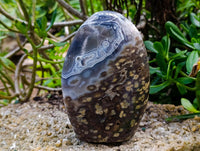 Polished Ocean Jasper Standing Free Forms x 2 From Northwest Coast, Madagascar