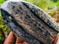 Polished Ocean Jasper Standing Free Forms x 2 From Northwest Coast, Madagascar