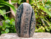 Polished Ocean Jasper Standing Free Forms x 2 From Northwest Coast, Madagascar