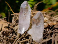Natural Mix of Smokey, Clear And Amethyst Quartz Crystals x 70 From Brandberg, Namibia