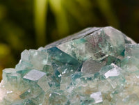 Natural Green Fluorite Cluster Specimens x 6 From Mandrosonoro, Madagascar