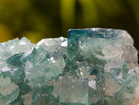 Natural Green Fluorite Cluster Specimens x 6 From Mandrosonoro, Madagascar