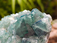 Natural Green Fluorite Cluster Specimens x 6 From Mandrosonoro, Madagascar