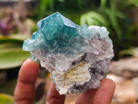 Natural Green Fluorite Cluster Specimens x 6 From Mandrosonoro, Madagascar