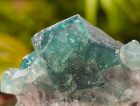 Natural Green Fluorite Cluster Specimens x 6 From Mandrosonoro, Madagascar