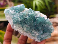 Natural Green Fluorite Cluster Specimens x 6 From Mandrosonoro, Madagascar