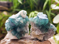 Natural Green Fluorite Cluster Specimens x 6 From Mandrosonoro, Madagascar