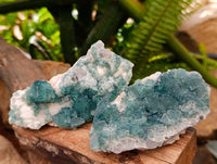 Natural Green Fluorite Cluster Specimens x 6 From Mandrosonoro, Madagascar