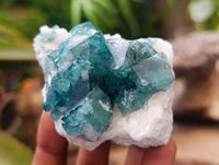 Natural Green Fluorite Cluster Specimens x 6 From Mandrosonoro, Madagascar