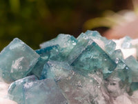 Natural Green Fluorite Cluster Specimens x 6 From Mandrosonoro, Madagascar