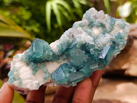 Natural Green Fluorite Cluster Specimens x 6 From Mandrosonoro, Madagascar