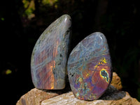 Polished Rare Purple Sunset Flash Labradorite Standing Free Forms x 3 From Tulear, Madagascar