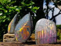 Polished Rare Purple Sunset Flash Labradorite Standing Free Forms x 3 From Tulear, Madagascar
