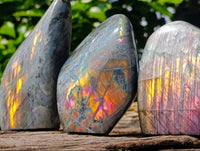 Polished Rare Purple Sunset Flash Labradorite Standing Free Forms x 3 From Tulear, Madagascar