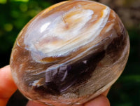 Polished Petrified Wood Galets x 24 From Mahajanga, Madagascar